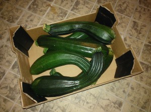 Courgettes WP_000111